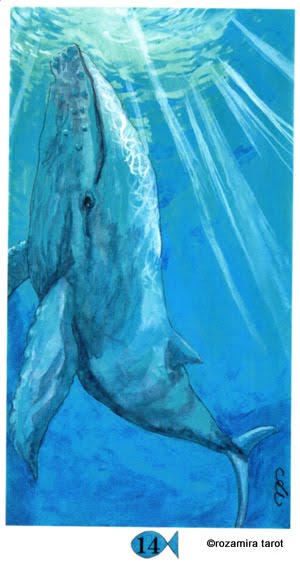 Hawaiian Aloha Tarot